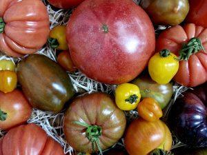 Heritage Tomatoes 500g
